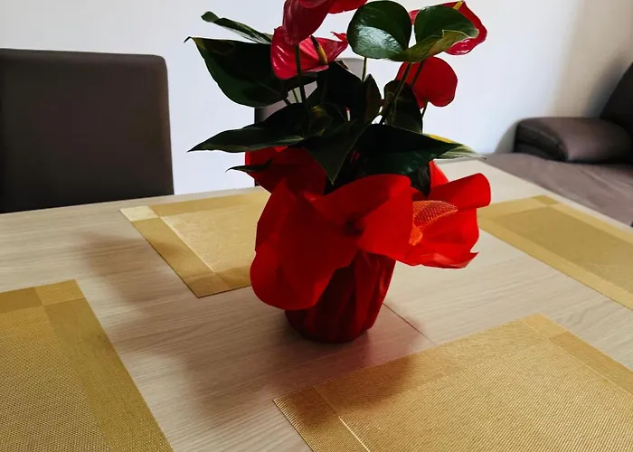 Casa Elena 3 ורונה